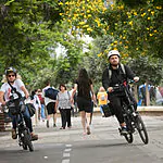 מצלמים אתכם: רוכבי האופניים יתעדו עבירות תנועה של נהגים