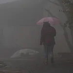 מהצפון ועד הנגב: גשם, רוחות ושטפונות – תחזית מזג האוויר