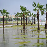 תושבי תל אביב שימו לב: משרד הבריאות בהודעה חשובה
