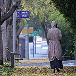 שבוע חורפי לפנינו: תחזית מזג האוויר