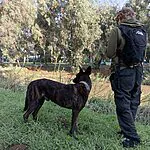בעקבות ממצאים שאותרו: הורחבו החיפושים בנחל הירקון אחר נעדר מבני ברק