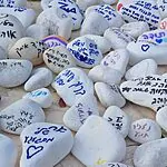 מנציחים את עידו זנו: תלמידים התנדבו לזכר הלוחם שנפל ברצועה
