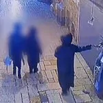 הרים את החתול מהזנב והעיף אותו באוויר: החשוד תועד – ונתפס