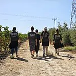 מלח הארץ: הצעירים שעזבו הכל ועברו לצפון כדי להציל את החקלאות