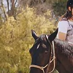 תוספות שכר ומענקים: ההסכם חדש שישפר את תנאי העובדים בכפרי הנוער