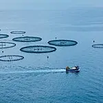 שיתופי פעולה אזוריים: נציגים ממדינות מוסלמיות הגיעו לכנס הבינלאומי באילת