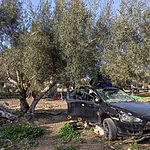 שנתיים אחרי ה-7 באוקטובר: תושב נירים יצא להליכה – ונתקל בממצא מפתיע