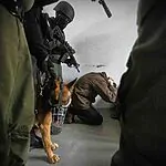 בזמן אימון צבאי: כוחותינו חיסלו מחבלי נוחבה חמושים