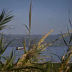 התחממות ניכרת, גשם קל באופק: תחזית מזג האוויר