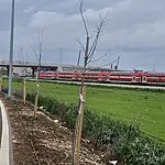 אם שמתם לב ליותר ירוק ליד מסילת הרכבת – זה לא במקרה