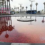 מזרקות אדומות וחסימות צירים: החרפה במחאת החברה הערבית