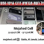 תשתית טרור שפעלה בשומרון והופעלה על ידי גורמים בלבנון – נחשפה ע"י שב"כ