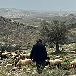 מהכיתה אל המרעה: 25 בני נוער נבחנו לשנת שירות בחווה שהוקמה לזכר לוחם שנפל