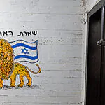 "כולנו אריות ולביאות": הנתונים על השמות שהפכו ללהיט בשיא המלחמה