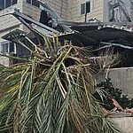 שלושת האחים יעקב, אביגיל ושרה ביטון ז"ל – נהרגו מפגיעת הטיל בבית שמש