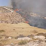 שריפה משתוללת סמוך ליישוב נווה ארז בבנימין