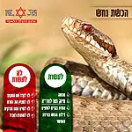 מד״א מזהיר לקראת הקיץ לנקוט זהירות עם עליית הטמפרטורות ופעילות הנחשים, ולהימנע מהליכה יחפה בשטח פתוח, מהזזת אבנים וסלעים וממגע עם נחשים