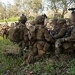 הותר לפרסום: כוחות אגוז וסיירת גולני פעלו במבצע חשאי מצפון לנהר הליטני