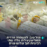 לא תאומים ולא שלישייה: למשפחה חרדית ממודיעין עילית נולדו שתי רביעיות בתוך שלוש שנים, כך מדווח העיתונאי נתי קאליש.