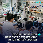 עולם הרפואה בהלם: חוקרים הצליחו להוכיח לראשונה כי מערכת החיסון האנושית מסוגלת לייצר “זיכרון חיסוני” ארוך טווח גם נגד גידולים סרטניים – בדומה לאופן שבו הגוף זוכר וירוסים וחיסונים