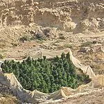 כוחות מג״ב והמשטרה איתרו 18 חממות סמים שפעלו בניגוד לחוק ברחבי הנגב