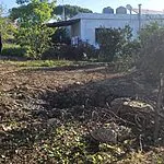 במהלך הלילה נפלה רקטה ששיגר ארגון הטרור חיזבאללה סמוך לבית בכפר הנוצרי קליעה שבדרום לבנון