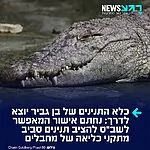 בהצלחה לנסות לברוח מהכלא: השרה להגנת הסביבה, עידית סילמן, חתמה על כרזה המאפשרת לשירות בתי הסוהר להקיף בתי כלא שבהם מוחזקים מחבלים בתנינים