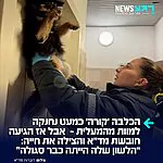 הכלבה ניצלה ברגע האחרון: צוות מד"א שהוזעק לבניין מגורים בחדרה בעקבות דיווח על אדם שנתקע במעלית, מצא את כלבתו הקטנה, 'קורה', כשהיא תלויה באוויר בין התקרה לרצפה, לאחר שרתמת הגוף שלה נתפסה בדלתות שנסגרו