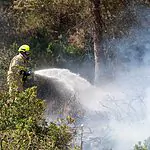 לוחמי האש השתלטו על השריפות במחוז צפון