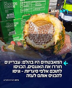 הזוי: מאבטחי משרד הביטחון סיכלו במעבר לכיש ניסיון הברחה חריג של אלפי סיגריות שהוסלקו בתוך מאות פירות אננס