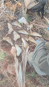 סוכל ניסיון הברחת נשק בגבול המזרחי: כוחות המשטרה וצה"ל עצרו הלילה שני צעירים תושבי יריחו סמוך לגשר אדם, בחשד שהבריחו אמצעי לחימה מירדן לשטח ישראל