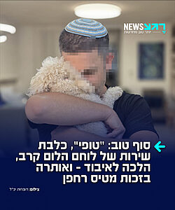 "טופי", כלבת שירות של לוחם הלום קרב, הלכה לאיבוד בשטח הסמוך לחוף הים בנהריה. היא אותרה אותרה השבוע לאחר סריקות באזור. מטיס רחפן מיחידת הכלבנים לישראל, שסייע בחיפושים, זיהה את הכלבה מן האוויר והכווין את המחפשים למיקומה