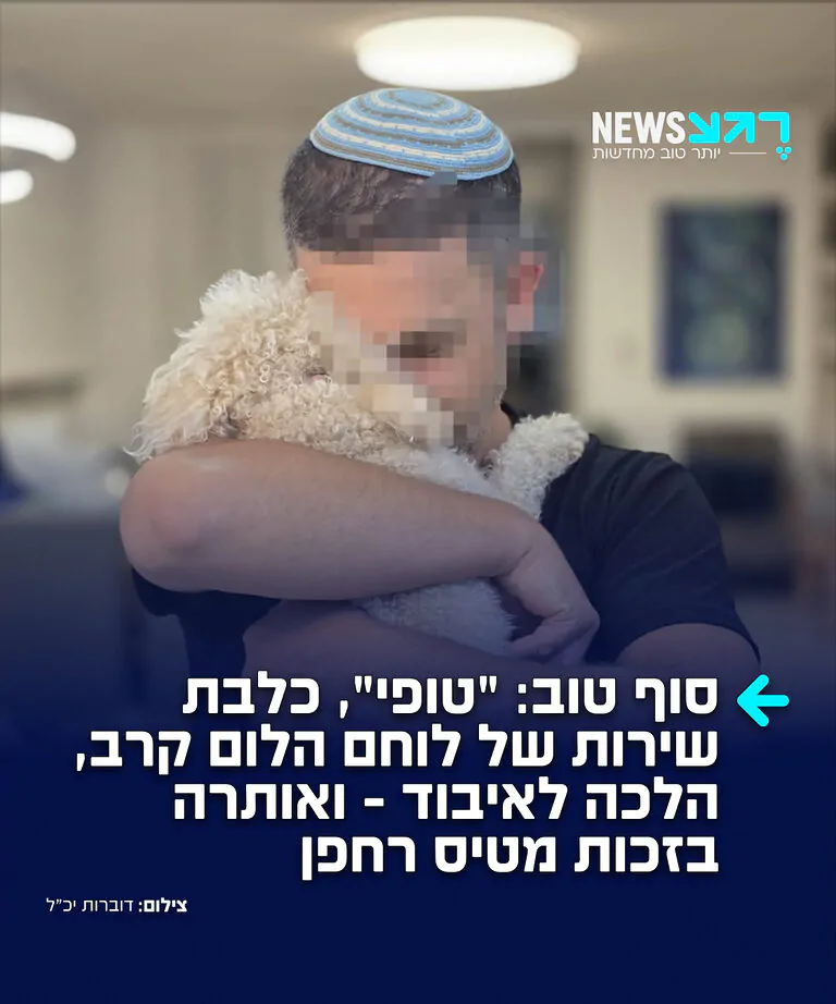 "טופי", כלבת שירות של לוחם הלום קרב, הלכה לאיבוד בשטח הסמוך לחוף הים בנהריה. היא אותרה אותרה השבוע לאחר סריקות באזור. מטיס רחפן מיחידת הכלבנים לישראל, שסייע בחיפושים, זיהה את הכלבה מן האוויר והכווין את המחפשים למיקומה