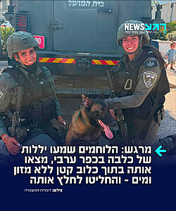 אין על החיילים שלנו: במהלך פעילות מבצעית בכפר אלעיזריה שבחטיבת עציון, שמעו כוחותינו קולות יללה של בעל חיים. בעקבות הקולות, איתרו הלוחמים כלבה כשהיא מוחזקת בתוך כלוב קטן העשוי מקרשי עץ, נראית מוזנחת ומוחזקת בתנאים ירודים, ללא מזון ומים