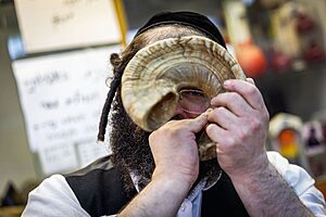 לקראת חגי תשרי: זינוק חד בביקוש לתפוחים, דגים ובשר