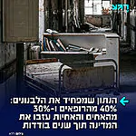 המלחמה עם ישראל לא משתלמת: לפי נתוני ארגון הבריאות העולמי, כ-40% מהרופאים הפעילים וכ-30% מהאחיות והאחים עזבו את לבנון מאז 2019. הערכות הן שלפחות 5,000 רופאים היגרו לאירופה, לארה"ב ולקנדה