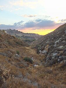 בית ספר שדה כפר עציון יוציא בחג הסוכות הקרוב סיור ראשון מסוגו לאורך הנתיב המדויק שבו צעדו לוחמי שיירת הל"ה