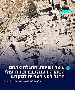 תגלית חדשה בת 2,000 שנה: מתחם טהרה ציבורי משלהי ימי בית שני, ששימש את עולי הרגל בדרכם לבית המקדש, נחשף למרגלות הר הבית