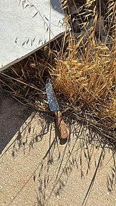בהמשך לנסיון הפיגוע בסמוך לחוות חנניה: מחבל הגיע למקום כשהוא חמוש בסכין וניסה לדקור את האזרחים במקום