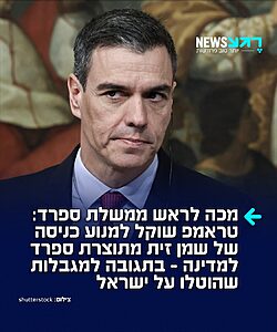 תודה לטראמפ! ארה"ב שוקלת להטיל איסור על ייבוא שמן זית ספרדי, זאת בתגובה למגבלות שהטילה ממשלת ספרד כנגד ספינות אמריקאיות שנשאו נשק ישראלי