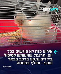 קריאה יוצאת דופן התקבלה במוקד ארגון "ידידים", אודות תרנגול שננעל בשגגה ברכב לעיני בעליו בבאר שבע